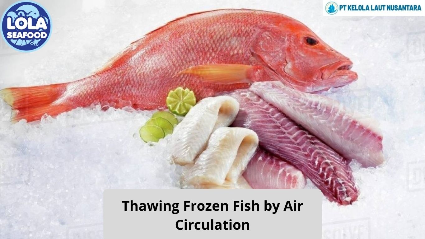 Thawing Frozen Fish by Air Circulation